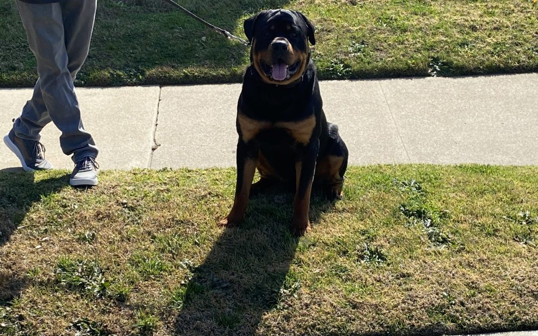 0611 Cassen Of Olympus Walk