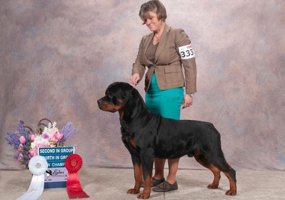 0649 GRCH Jayce Of Olympus Walk RN