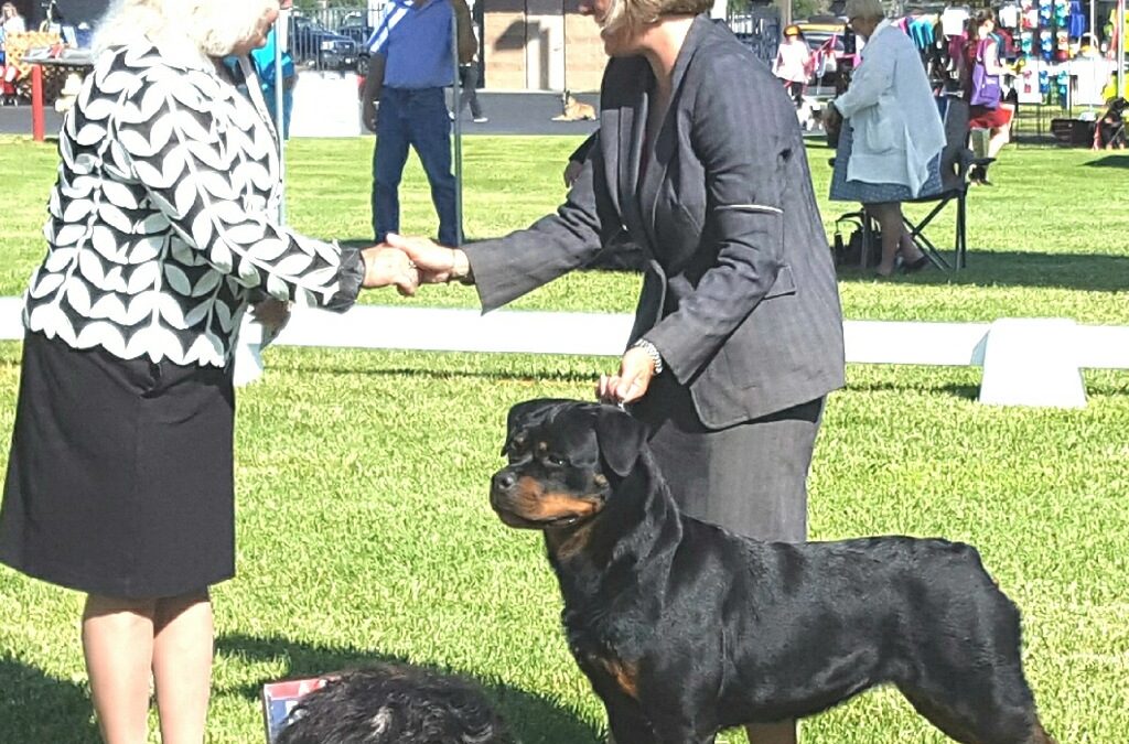 0970 CH Galena Of Olympus Walk