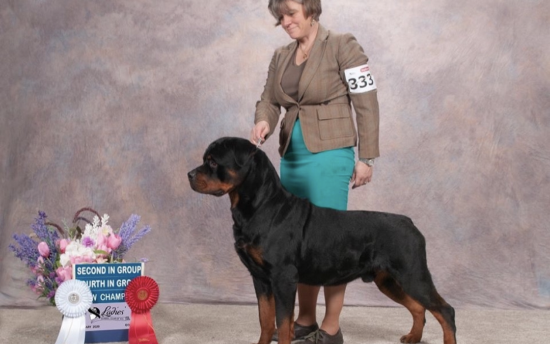 1098 GRCH Jayce Of Olympus Walk RN