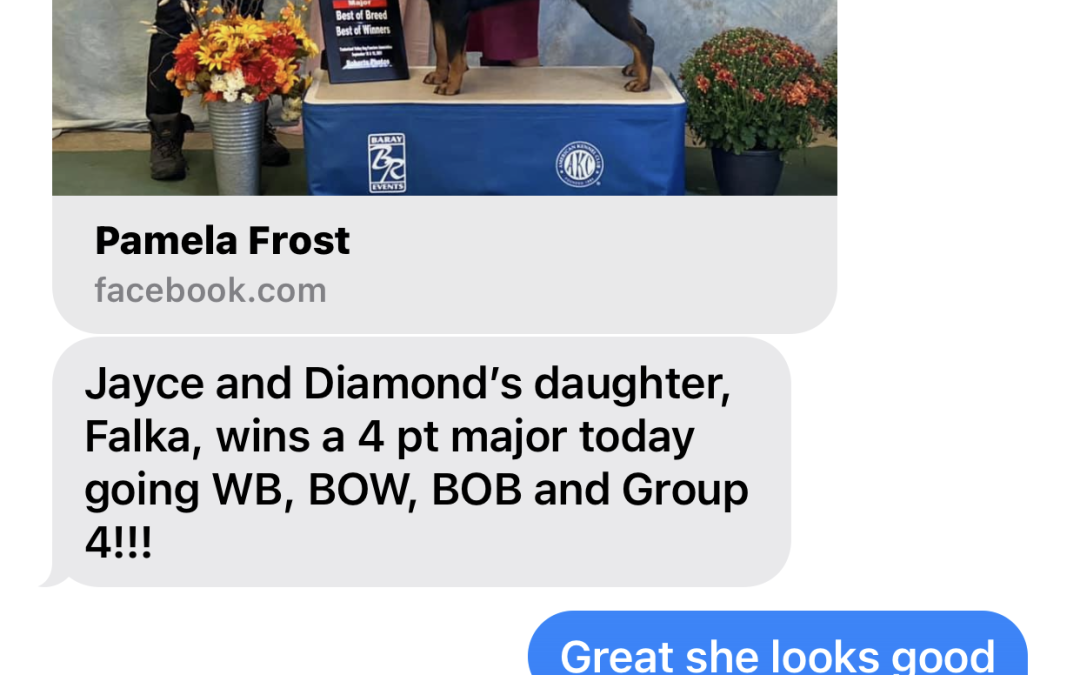 1343 Jayce’s Daughter